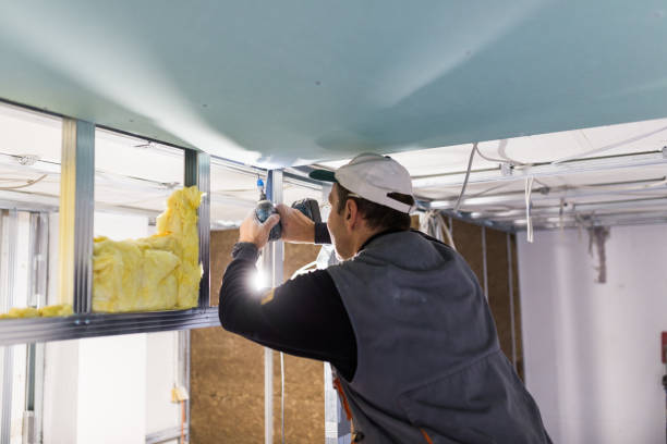 Best Home Insulation Services  in Whitehall, WI