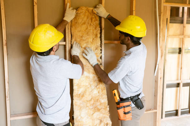 Best Insulation Removal  in Whitehall, WI