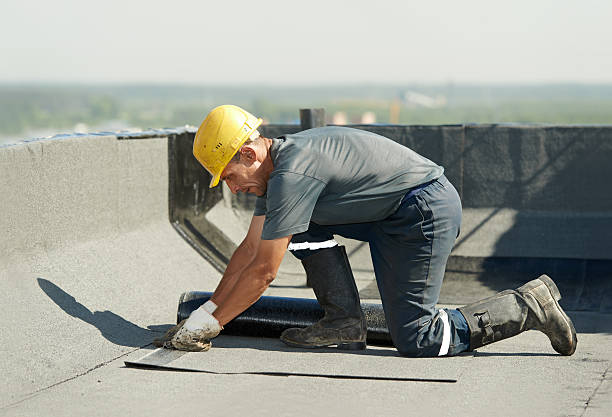 Best Attic Insulation Installation  in Whitehall, WI